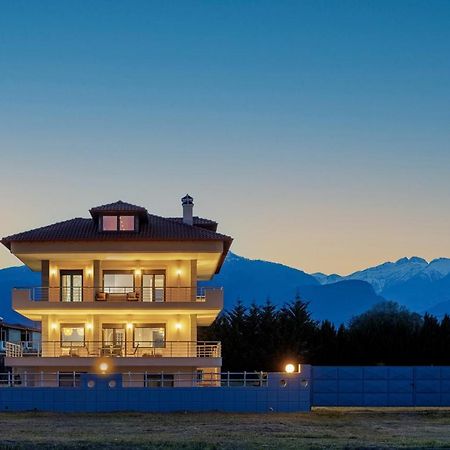 Villa Centaurium, Panel Hospitality Homes & Villas Litóchoron Dış mekan fotoğraf